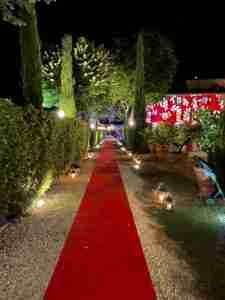 red carpet lanterne piante tappeto rosso a noleggio evento lancio collezione stm hats - rental design